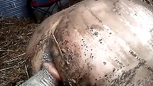 dirty
