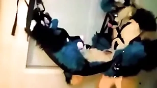 Furry tied up and fucked