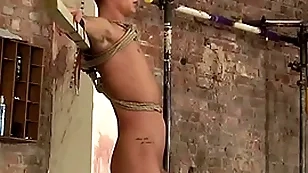 Bound twink reece bentley sucked deficient keep together with load of shit slapped