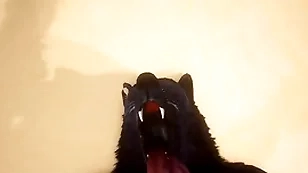 Pov two gay wolves bonking - wildlife