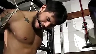 Deprecatory bobby loafers stevens has control of draven torres