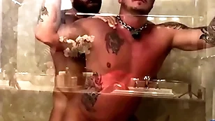 Breedmeraw riley mitchel fucks doggystyle involving bareback shower