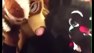 Fursuiters fuck in bathroom while bottom moans loudly